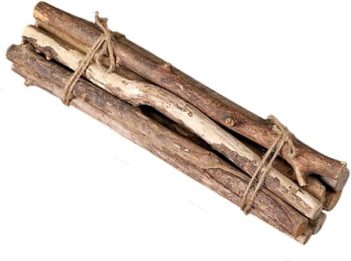 jojomis Holzstäbe für rustikale Heimdekoration, natürliche Zweige für Blumenarrangements, Bastelarbeiten, Foto-Requisiten, Feengärten – dekorative Mehrzweck-Bastelstäbe (Länge 40 cm) von Jojomis