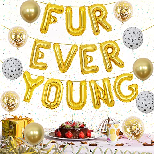 Hund Geburtstag Party Dekorationen Gold - Forever Young Geburtstagsdekorationen mit Fell Ever Young Folienballon, Hundepfotenballons von Jollyboom