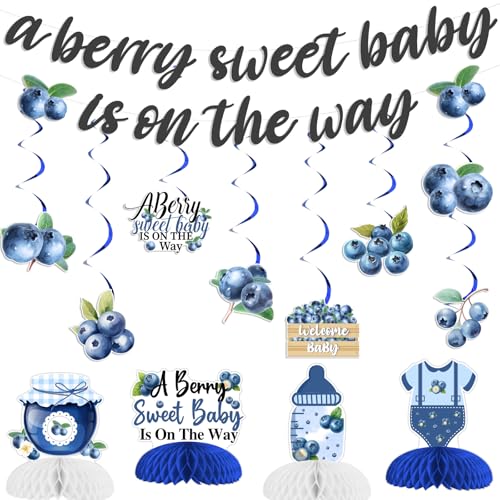 Jollyboom Blueberry Babyparty-Dekorationen, "A Berry Sweet Baby Is On The Way", Banner zum Aufhängen, Wirbel, Girlande, Tisch-Waben, Mittelstücke für Obst-Thema, Willkommens-Baby-Party-Pakete von Jollyboom