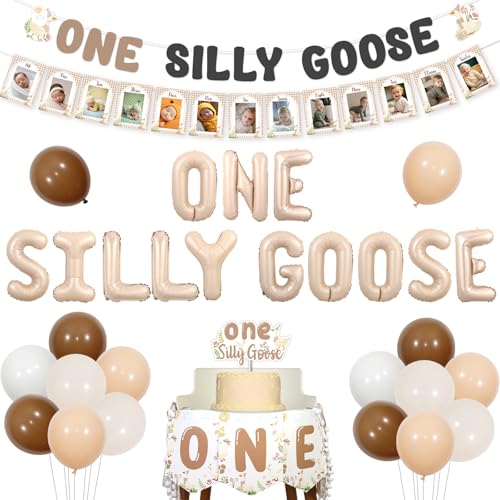 Jollyboom Gans 1. Geburtstag Dekorationen, One Silly Goose Banner Cake Topper Gans Hochstuhl Banner Monatliches Foto Banner Beige Folienballons Neutral für Junge Mädchen Bauernhof Tier Erste von Jollyboom