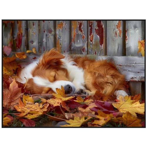 Diamond Painting Hund Tier 30x50 cm Malen Nach Zahlen Erwachsene Diamant Painting Bilder, Full Runde Steine Diamond Painting Kinder, DIY Diamond Painting Set Crystal Art Stickerei für Wand Dekor Y/636 Diamond Painting Hund Tier 30x50 cm Malen Nach Zahlen Erwachsene Diamant Painting Bilder, Full Runde Steine Diamond Painting Kinder, DIY Diamond Painting Set Crystal Art Stickerei für Wand Dekor Y/636 von Jonceen