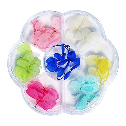 Jonlaki Nägel Getrocknete Blumendekoration Diy Nägel Kunst False Blumen Maniküre Nageldekor Frauen Frauen (6 Gitter-Trockenblumen 01) von Jonlaki
