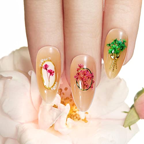 Jonlaki Nägel Getrocknete Blumendekoration Diy Nägel Kunst False Blumen Maniküre Nageldekor Frauen Frauen (6 Gitter-Trockenblumen 03) von Jonlaki