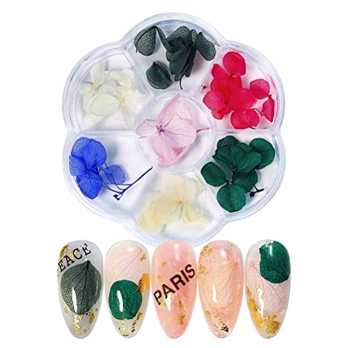 Jonlaki Nägel Getrocknete Blumendekoration Diy Nägel Kunst False Blumen Maniküre Nageldekor Frauen Frauen (6 Gitter Trockenblumen 04) von Jonlaki
