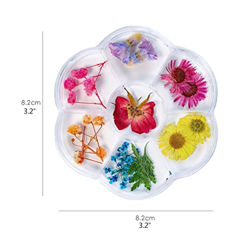 Jonlaki Nägel Getrocknete Blumendekoration Diy Nägel Kunst False Blumen Maniküre Nageldekor Frauen Frauen (6 Gitter Trockenblumen 05) von Jonlaki