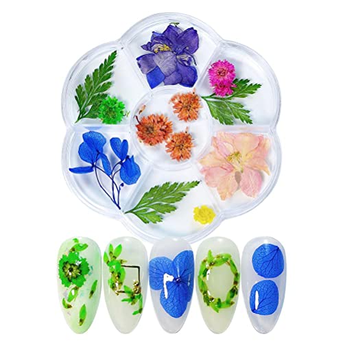 Jonlaki Nägel Getrocknete Blumendekoration Diy Nägel Kunst False Blumen Maniküre Nageldekor Frauen Frauen (6 Gitter-Trockenblumen 06) von Jonlaki