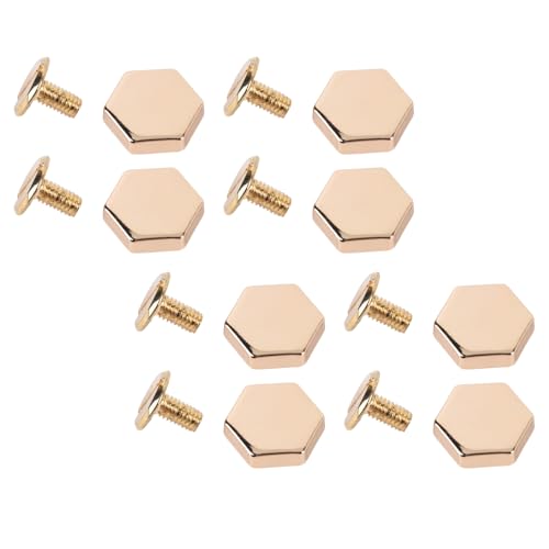 Lederbefestigungsmittel, Hex -Nieten Nicht Rostig Hohe Stärke 50 Stcs Set -Schlitzschraube für Taschen (Hell Gold) von Jonlaki