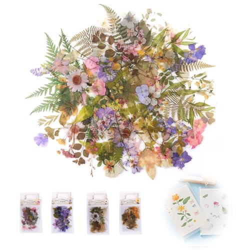 160 Stück Blumen Aufkleber Set, Transparente Scrapbooking Aufkleber, PET-Dekorationsaufkleber mit natürlichen Pflanzen und Blumen, Vintage Bastelaufklebe für DIY Scrapbook Fotoalben Tagebüchern 160 Stück Blumen Aufkleber Set, Transparente Scrapbooking Aufkleber, PET-Dekorationsaufkleber mit natürlichen Pflanzen und Blumen, Vintage Bastelaufklebe für DIY Scrapbook Fotoalben Tagebüchern von Jormftte