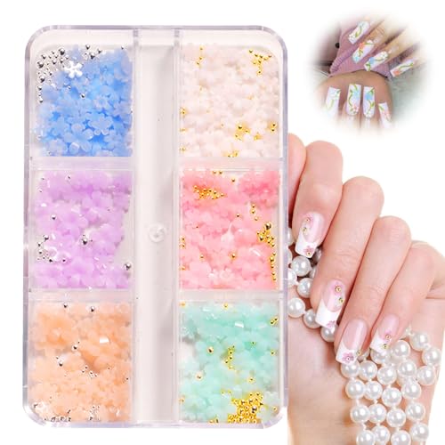 240 Stück Blumen Nagelkunst Charms, Blumen Nagel mit Gold und Silberperlen Ornamenten, 3D Nagel Charms Harz Blume für Blumen Nageldesign DIY Maniküre 240 Stück Blumen Nagelkunst Charms, Blumen Nagel mit Gold und Silberperlen Ornamenten, 3D Nagel Charms Harz Blume für Blumen Nageldesign DIY Maniküre von Jormftte