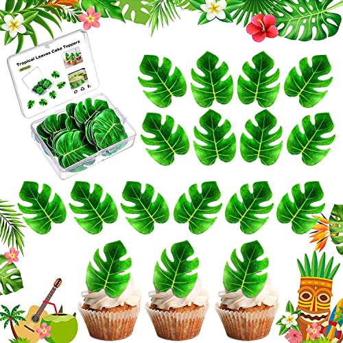 48 Stück Tropische Schildkrötenblätter Cupcake Topper, Palmblatt Kuchen Dekoration für Hawaii Aloha Dschungel-Thema, Geburtstagstorte Dekoration für Hochzeit Geburtstag Babyparty 48 Stück Tropische Schildkrötenblätter Cupcake Topper, Palmblatt Kuchen Dekoration für Hawaii Aloha Dschungel-Thema, Geburtstagstorte Dekoration für Hochzeit Geburtstag Babyparty von Jormftte