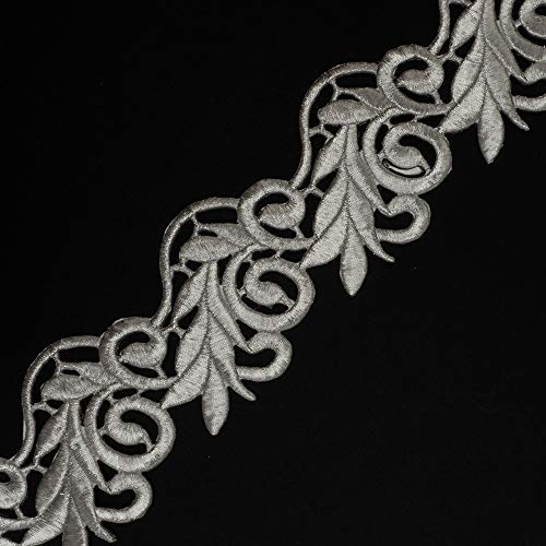 TR-11889 Spitzenborte zum Aufbügeln, metallisch, für Braut, Kostüm oder Schmuck, Basteln und Nähen, 91 cm, silberfarben von Joyce Trim