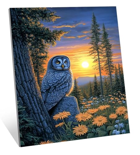 Diamond Painting Mond Diamant Painting Bilder Eule Diamant Kunst Malerei Stickerei Set, DIY Vollbohrer Bastelset Erwachsene Diamanten, Geeignet Als Geschenk, Entspannung und Wanddeko 120x80 cm H-2589 Diamond Painting Mond Diamant Painting Bilder Eule Diamant Kunst Malerei Stickerei Set, DIY Vollbohrer Bastelset Erwachsene Diamanten, Geeignet Als Geschenk, Entspannung und Wanddeko 120x80 cm H-2589 von Jqqhhoyy