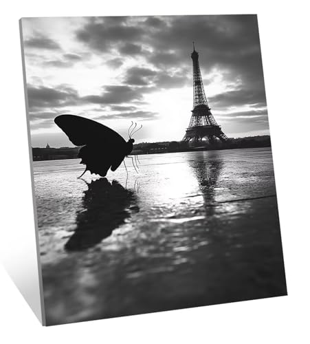 Insekt Diamond Painting Eiffelturm Diamond Painting Erwachsene, DIY Mosaikherstellung Diamant Malerei Bilder Set, 5D Diamant Kunst Kinder Basteln, Wohnzimmer Zimmer Zubehör Geschenke 100x150 cm H-420 von Jqqhhoyy