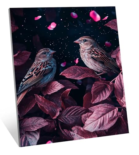 Vogel Diamond Painting Blume Diamond Painting Erwachsene, Mosaikherstellung Zubehör Diamant Malerei Bilder Set, 5D Diamant Kunst Kinder Basteln, Wohnzimmer Zimmer Zubehör Geschenke 60x80 cm H-697 Vogel Diamond Painting Blume Diamond Painting Erwachsene, Mosaikherstellung Zubehör Diamant Malerei Bilder Set, 5D Diamant Kunst Kinder Basteln, Wohnzimmer Zimmer Zubehör Geschenke 60x80 cm H-697 von Jqqhhoyy