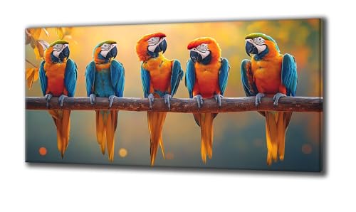 Diamond Painting Erwachsene und Kinder, Diamant Painting Bilder Tier Papagei 5D Kreativ Set für Erwachsene DIY Crystal Art Neuheiten Diamond Painting Set Deko Wohnzimmer, Geschenke 100 x 200 Z-80 von Jqynn
