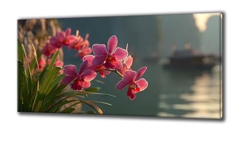 Jqynn Diamond Painting Erwachsene und Kinder, Diamant Painting Bilder Anlage See 5D Kreativ Set für Erwachsene DIY Crystal Art Neuheiten Diamond Painting Set Deko Wohnzimmer, Geschenke 30 x 60 Z-766 Jqynn Diamond Painting Erwachsene und Kinder, Diamant Painting Bilder Anlage See 5D Kreativ Set für Erwachsene DIY Crystal Art Neuheiten Diamond Painting Set Deko Wohnzimmer, Geschenke 30 x 60 Z-766 von Jqynn