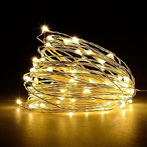 Jsdoin Lichterkette Draht,10m 100LEDs Lichterketten Batteriebetrieben, Klein Innen Lichterkette für Weihnachten, Schlafzimmer, Party,Baumdekoration (1 Stück,Warmweiß) von Jsdoin