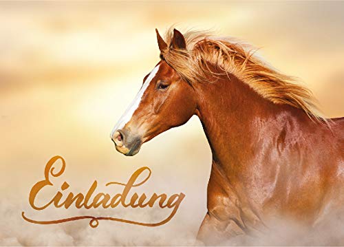 JuNa-Experten 12 Einladungskarten zum Kindergeburtstag Mädchen Pferd Einladungen zum Geburtstag von JuNa-Experten