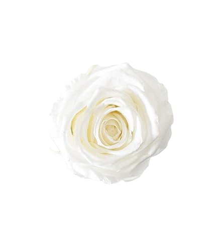 Juli Flowers Pure White Rose von Juli