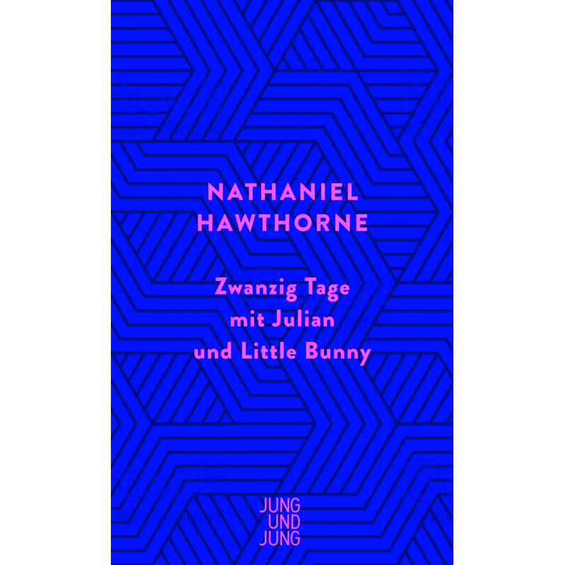 Zwanzig Tage Mit Julian Und Little Bunny - Nathaniel Hawthorne, Gebunden von Jung und Jung
