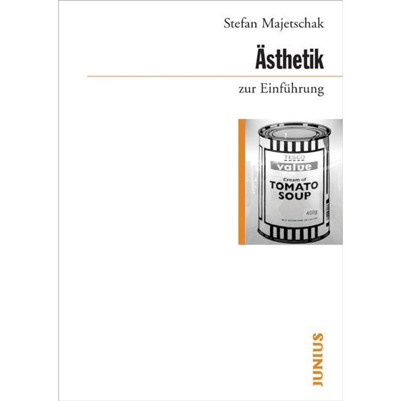 Ästhetik Zur Einführung - Stefan Majetschak, Kartoniert (TB) von Junius Verlag