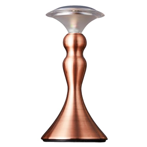 Juodkeo Elegante Touch Fish Rückleuchte, warme wiederaufladbare Tischleuchte, für Schlafzimmer, Wohnzimmer, Camping, romantische Einrichtung,Copper Juodkeo Elegante Touch Fish Rückleuchte, warme wiederaufladbare Tischleuchte, für Schlafzimmer, Wohnzimmer, Camping, romantische Einrichtung,Copper von Juodkeo