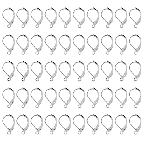 50 PCs Ohrringhaken, Hebelohrring -Erkenntnisse Dekorative Ohrdrahthaken Schmuck Erkenntnisse für Handwerksschmuck Herstellung (Weiß) von Jwthee