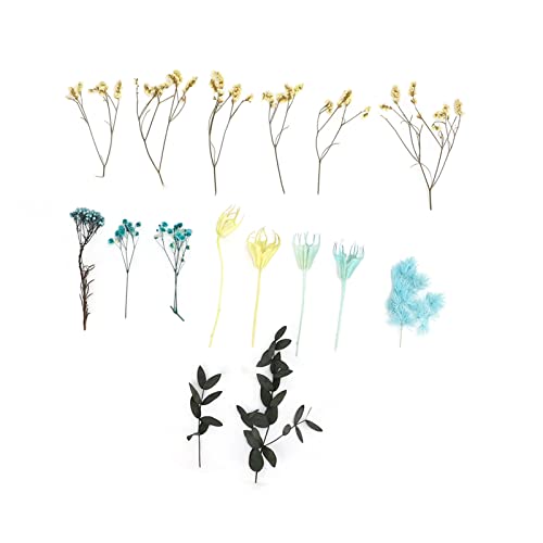 Getrocknete Blüten geruchlose exquisite Blumenstraußmaterialien DIY -getrocknete Blüten für Tischtop -Party -Dekoration Getrocknete Blüten geruchlose exquisite Blumenstraußmaterialien DIY -getrocknete Blüten für Tischtop -Party -Dekoration von Jxngery