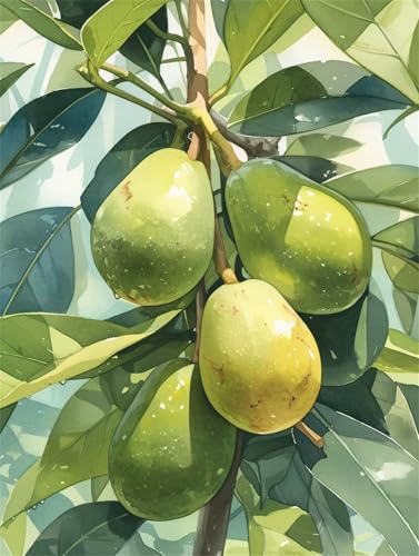 Diamond Painting Erwachsene Diamant Painting Bilde Avocado 5D Diamond-Painting Basteln Set Kinder Diy Full Drill Mosaikherstellung Bastelset für Living Room Office Wall Round Drill 80x120cm D3128 Diamond Painting Erwachsene Diamant Painting Bilde Avocado 5D Diamond-Painting Basteln Set Kinder Diy Full Drill Mosaikherstellung Bastelset für Living Room Office Wall Round Drill 80x120cm D3128 von Jynhbl