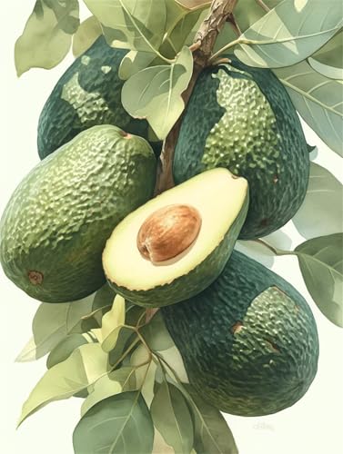 Diamond Painting Erwachsene Diamant Painting Bilde Avocado 5D Diamond-Painting Basteln Set Kinder Diy Full Drill Mosaikherstellung Bastelset für Living Room Office Wall Square Drill 80x120cm D3120 Diamond Painting Erwachsene Diamant Painting Bilde Avocado 5D Diamond-Painting Basteln Set Kinder Diy Full Drill Mosaikherstellung Bastelset für Living Room Office Wall Square Drill 80x120cm D3120 von Jynhbl