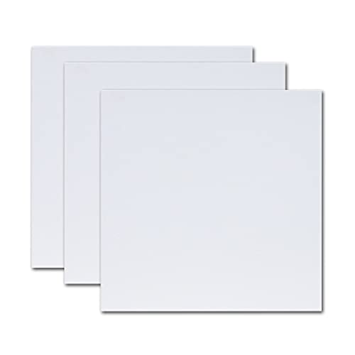 10 x Malleinwandtafeln, tief, super Vorteilspackung für Öl- und Acrylfarbe, Ölmaltafel, Kunstbedarf (Größe 2) (Größe 3) von Jyuiipcz