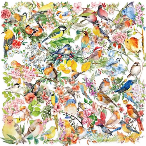 50 Blätter Gepäckaufkleber Sammelalbum Aufkleber Aquarell Bird Graffiti Dekorative Belohnung Für Telefon Retro Dekorative Gepäck Aquarell Vogel 50 Blätter Gepäckaufkleber Sammelalbum Aufkleber Aquarell Bird Graffiti Dekorative Belohnung Für Telefon Retro Dekorative Gepäck Aquarell Vogel von KAHDGSS