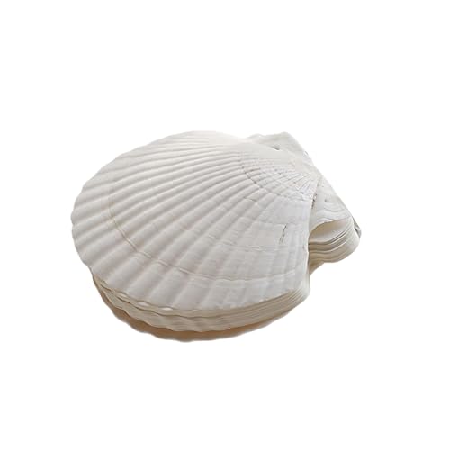KAHDGSS Künstlerisches Notizbuch in Muschelform mit 2 Löchern, nachfüllbares Papier, Notizblöcke für Inspirationssammlung und zum Verschenken KAHDGSS Künstlerisches Notizbuch in Muschelform mit 2 Löchern, nachfüllbares Papier, Notizblöcke für Inspirationssammlung und zum Verschenken von KAHDGSS