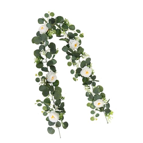 KAHDGSS Realistische 180 cm Eukalyptus-Ranke, Ornament, mit 60 Blüten, ideal für Party- und Veranstaltungsdekoration, Bürodekoration, Girlanden KAHDGSS Realistische 180 cm Eukalyptus-Ranke, Ornament, mit 60 Blüten, ideal für Party- und Veranstaltungsdekoration, Bürodekoration, Girlanden von KAHDGSS