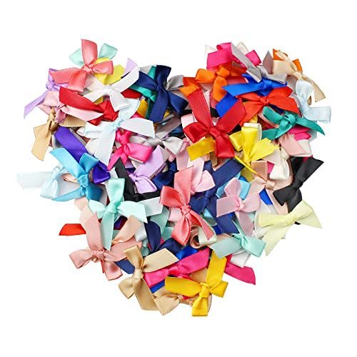 KAIAIWLUO Satin Schleifen,100 pcs Satinband Mini Schleifen zum Basteln Klein Schleifer für Hochzeit Geburtstagsfeier Dekoration Geschenkverpackung Bastelbedarf von KAIAIWLUO