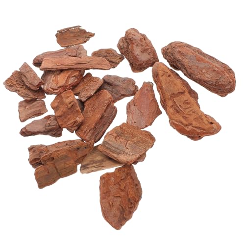 KAILIKETIY 1 Packung Natürliche für Mikro Landschaften Handgefertigte Rindenmaterialien für Küsten Szenen für Modellbau und Projekte KAILIKETIY 1 Packung Natürliche für Mikro Landschaften Handgefertigte Rindenmaterialien für Küsten Szenen für Modellbau und Projekte von KAILIKETIY