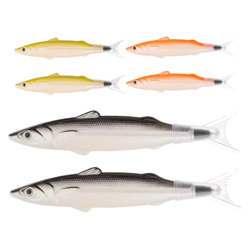 KAILIKETIY 6 Stück Kugelschreiber In Form Eines Gesalzenen Fisches Motivationsstifte Stifte Zum Schreiben Kawaii Kugelschreiber Kreativer Stift Bürobedarf Lustige Stifte Für von KAILIKETIY