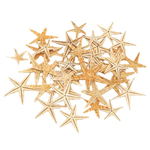 KAILIKETIY Mini Seestern Dekorationsornamente Teiliges Beige Mikro Strass Skulptur für DIY Kunsthandwerk für Miniatur Landschaften und von KAILIKETIY