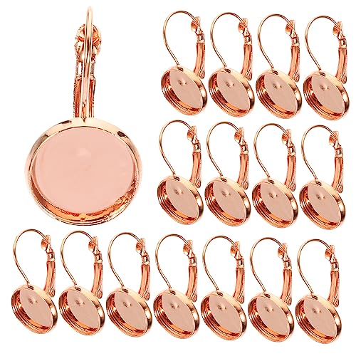 KALLORY 20 Stück Haken Für Ohrringablage Tablett Ohrringzubehör Für Die Schmuckherstellung Französisch Rostfrei Trendige Ohrringe Personalisierte Ohrringe Einfache Ohrringe Eisen Rose Gold von KALLORY