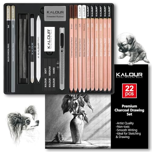 KALOUR PDAS 22-teiliges Zeichenkohle-Set, Professionelles Kunstzubehör, Schwarze und Weiße Kohlebleistifte zum Zeichnen, Skizzieren, Schattieren und Verblenden, für Anfänger und erfahrene Künstler KALOUR PDAS 22-teiliges Zeichenkohle-Set, Professionelles Kunstzubehör, Schwarze und Weiße Kohlebleistifte zum Zeichnen, Skizzieren, Schattieren und Verblenden, für Anfänger und erfahrene Künstler von KALOUR PDAS