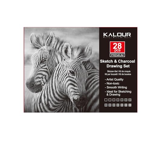 KALOUR Premium-Set für Skizzen und Kohlenzeichnungen, 28 Teile, Kunstbedarf mit Graphitstiften, Kohlestiften und Radiergummis KALOUR Premium-Set für Skizzen und Kohlenzeichnungen, 28 Teile, Kunstbedarf mit Graphitstiften, Kohlestiften und Radiergummis von KALOUR