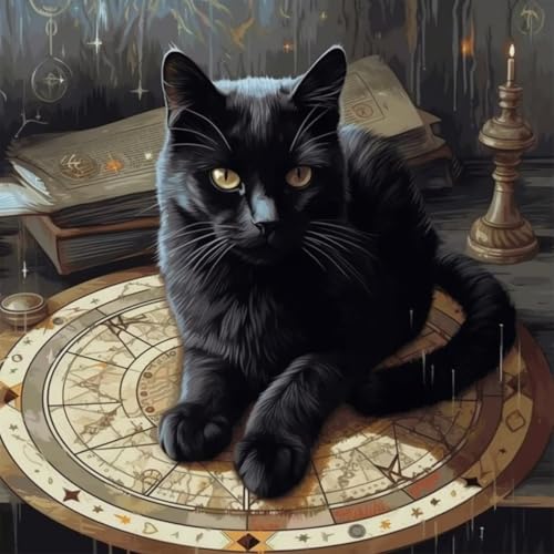 KANGBAWA Malen Nach Zahlen Erwachsene Schwarze Katze Zauberkreis Zauberhut (9)- Bastelset Erwachsene Gemälde Leinwand 40x50 cm Mit Farbe und Pinsel - Geschenke und Maldekorationen von KANGBAWA