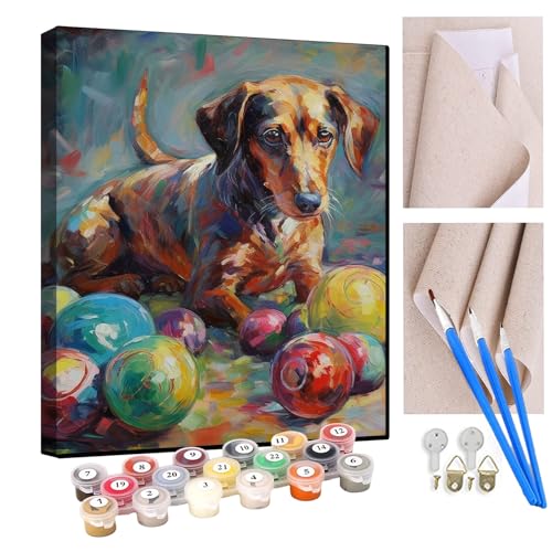 KANGBAWA Malen nach Zahlen Erwachsene Bunter Hund Dackel und Ball Malsets für Erwachsene mit Pinseln Malen nach Zahlen auf Leinwand Acryl Pigment Kunsthandwerk 40 x 50 cm(rahmenlos) von KANGBAWA