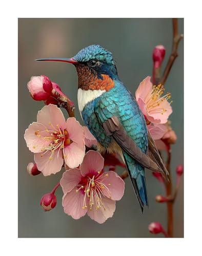 Blume 5D Diamond Painting Erwachsene - Kolibri Full Drill Diamant Painting Kinder Bilder, DIY Mosaic Bastelset für Erwachsene, Diamant Malerei Stickerei Groß für Home Decor 40x50cm KSWF94 Blume 5D Diamond Painting Erwachsene - Kolibri Full Drill Diamant Painting Kinder Bilder, DIY Mosaic Bastelset für Erwachsene, Diamant Malerei Stickerei Groß für Home Decor 40x50cm KSWF94 von KANGSONGWENJIAJU