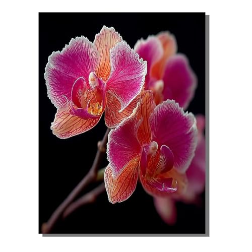 Blume Malen Nach Zahlen Erwachsene, Malen Nach Zahlen Pflanze 40x55 cm DIY Set Erwachsene Mit 3 Pinseln und Acrylfarbe, Paint by Numbers für Deko Wohnzimmer, Geschenke für Frauen KSWWK453 von KANGSONGWENJIAJU
