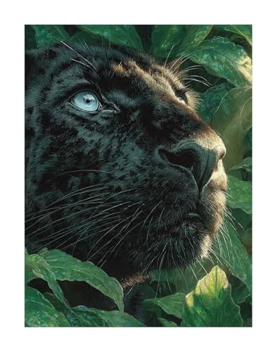 KANGSONGWENJIAJU 5D Diamant Painting Kit - Tier Diamond Painting Kinder DIY Set, Leopard Full Drill Bastelset für Erwachsene, Diamant Kunst Bilder Mosaic Stickerei für Home Wand Dekor 30x40 cm KSWF71 KANGSONGWENJIAJU 5D Diamant Painting Kit - Tier Diamond Painting Kinder DIY Set, Leopard Full Drill Bastelset für Erwachsene, Diamant Kunst Bilder Mosaic Stickerei für Home Wand Dekor 30x40 cm KSWF71 von KANGSONGWENJIAJU