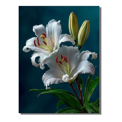 Malen Nach Zahlen Erwachsene Blume, Groß DIY Malen Nach Zahlen Mit Rahmen Pflanze, Anfänger Frauen Bastelset, Pinsel und Acrylfarbe Paint by Numbers Basteln Wand Dekor Geschenk 50 x 70 cm KSWDK447 von KANGSONGWENJIAJU