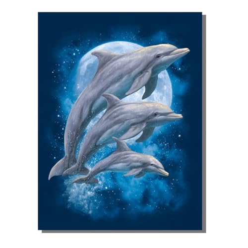 Malen Nach Zahlen Erwachsene Delphin, Groß DIY Malen Nach Zahlen Mit Rahmen Vollmond, Anfänger Frauen Bastelset, Pinsel und Acrylfarbe Paint by Numbers Basteln Wand Dekor Geschenk 40x55 cm KSWDK450 von KANGSONGWENJIAJU