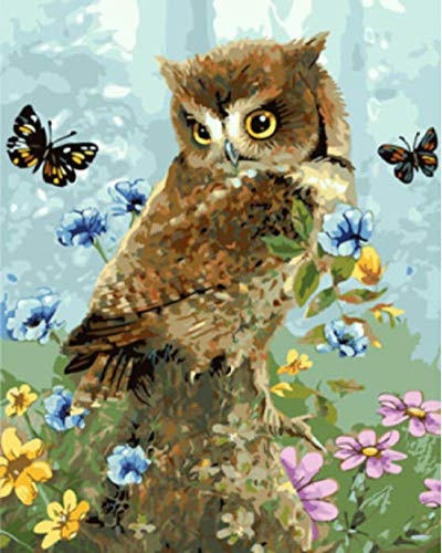 pzmolpq Malen nach Zahlen Eule Tier handbemalt DIY Geschenk Home Decoration Kit Zeichnung auf Leinwand Wandkunst-40x30cm Kein Rahmen von KANGZENG