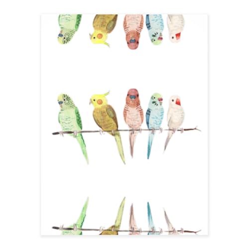 Bunte Papageien auf Baum, Kristall-Aufkleber zum Basteln, niedliche Aufkleber, Bastelbedarf für Damen und Herren, für Laptop, Skateboard von KAPPTYY